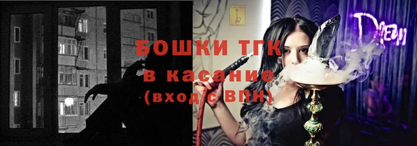 стафф Осташков