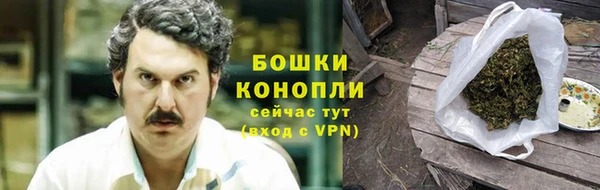 стафф Осташков