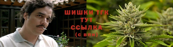 стафф Осташков