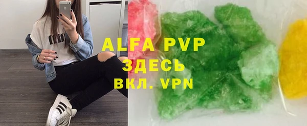 стафф Осташков
