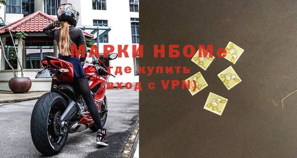 стафф Осташков