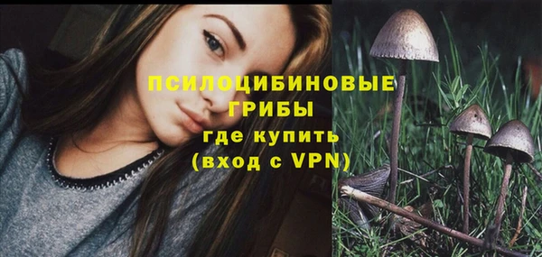 стафф Осташков