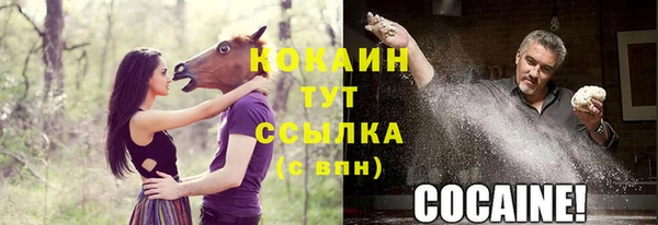 стафф Осташков