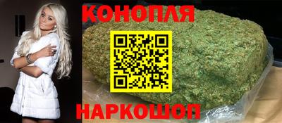 сатива Аргун