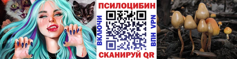 блэк спрут tor  Балабаново  Псилоцибиновые грибы Cubensis 