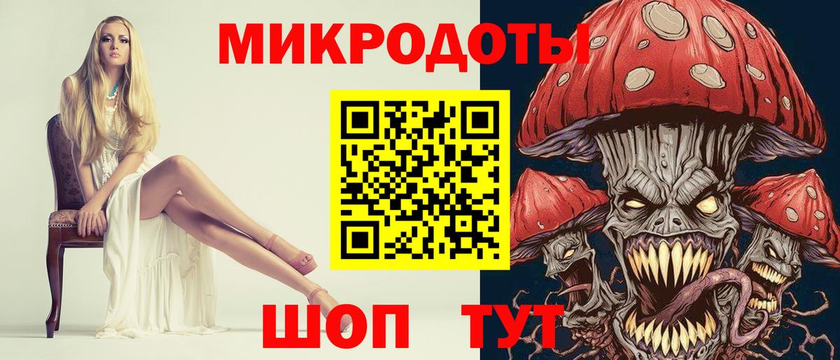 Псилоцибиновые грибы Psilocybe  закладка  Балабаново  Псилоцибиновые грибы мухоморы 