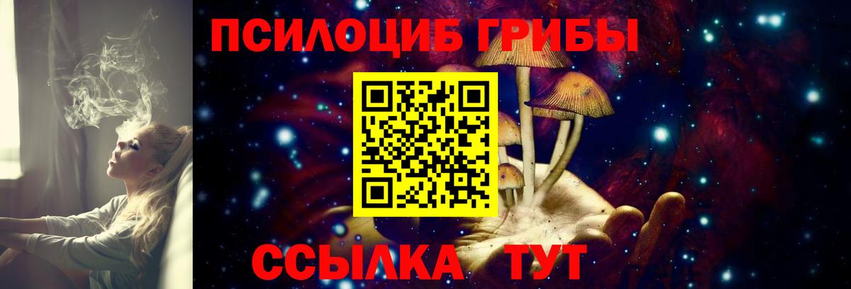 Псилоцибиновые грибы прущие грибы  Вход с VPN  Псилоцибиновые грибы мицелий  Балабаново 